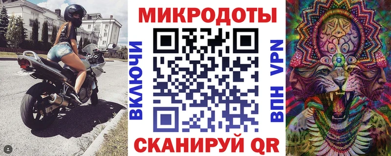 наркошоп  Зубцов  Галлюциногенные грибы Psilocybine cubensis 